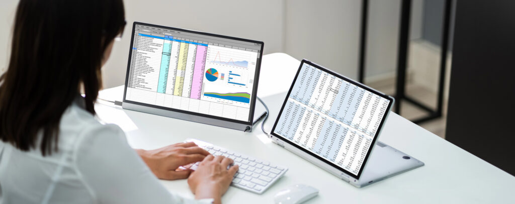 Analyst Employee Working With Spreadsheet